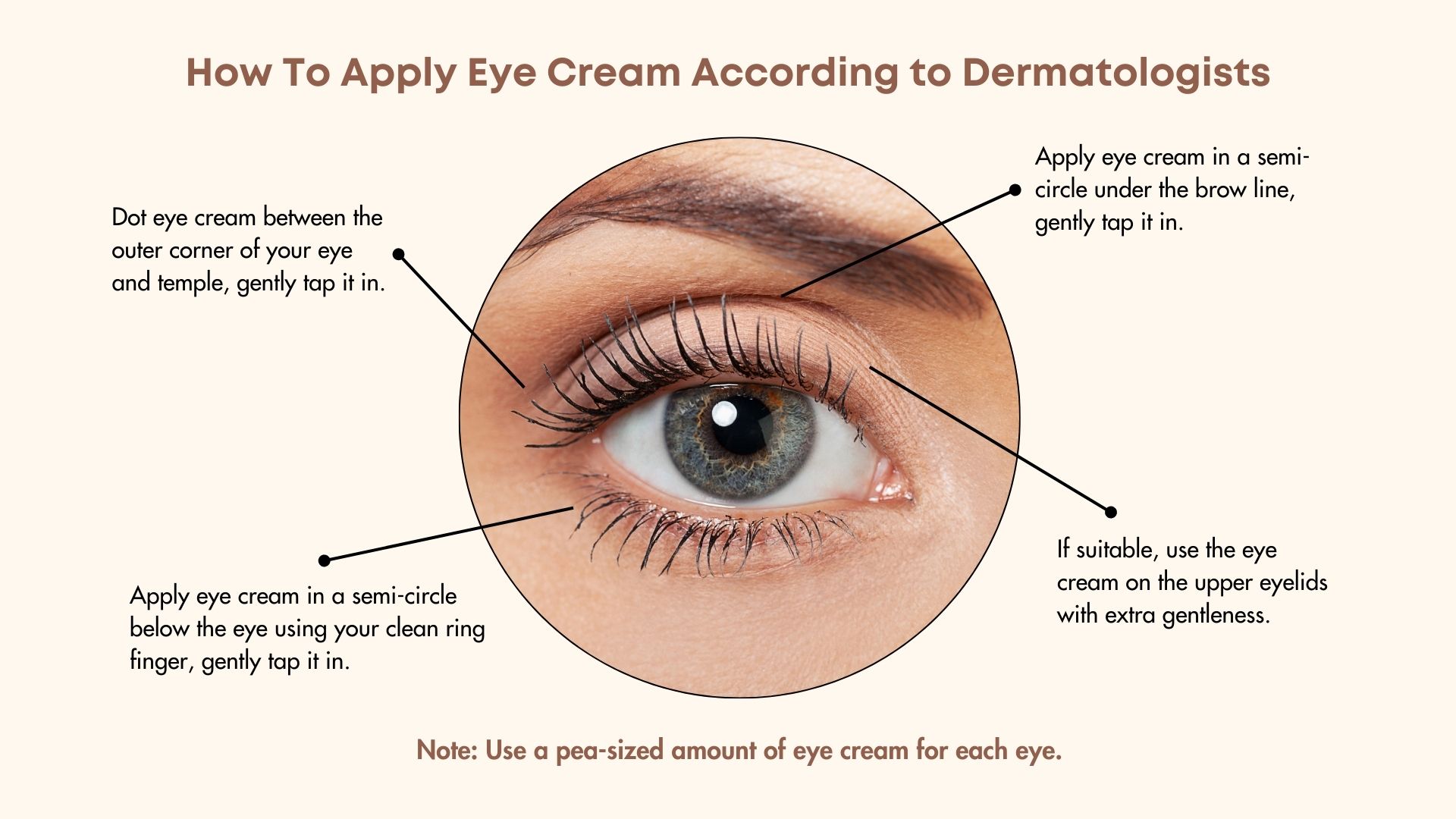 How to Apply Eye Cream (By Derma)